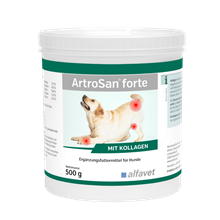 ArtroSan forte_0