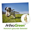 ArthroGreen plus_7