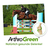 ArthroGreen Sport_2147483647