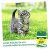 cdProtect Cat forte Kapseln_1