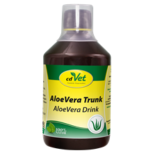 AloeVera Trunk_0