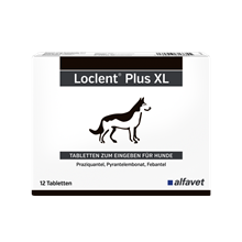 Loclent Plus XL Tabletten_0