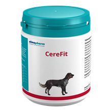 CereFit_0