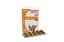 VeyFo Dog-Motio Jelly Bones_1