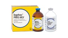 Ingelvac PRRS MLV_0