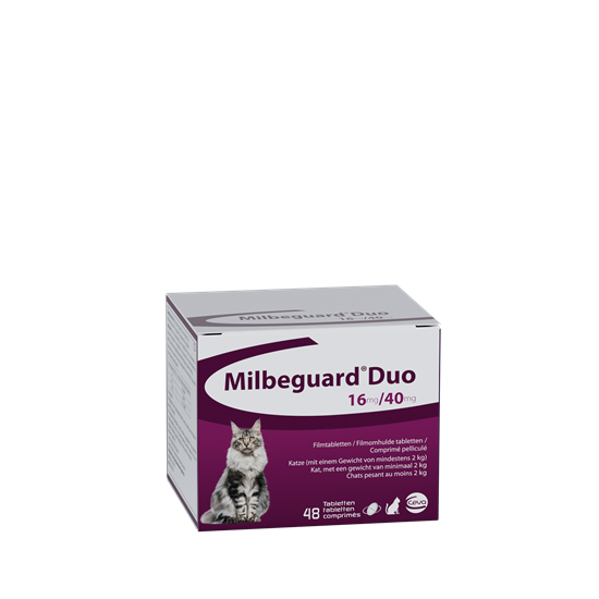 Milbeguard Duo für Katzen von  2-8 kg_0