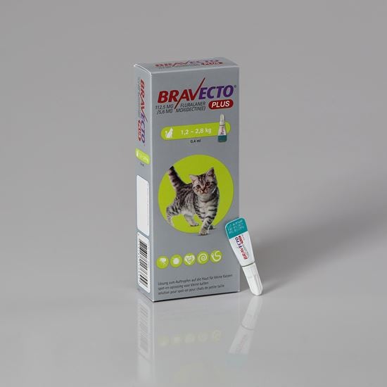 Bravecto Plus Katze 112,5 mg 1,2-2,8 kg_1