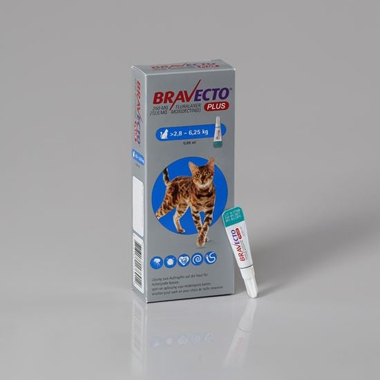 Bravecto Plus Katze 250 mg 2,8-6,25 kg_1