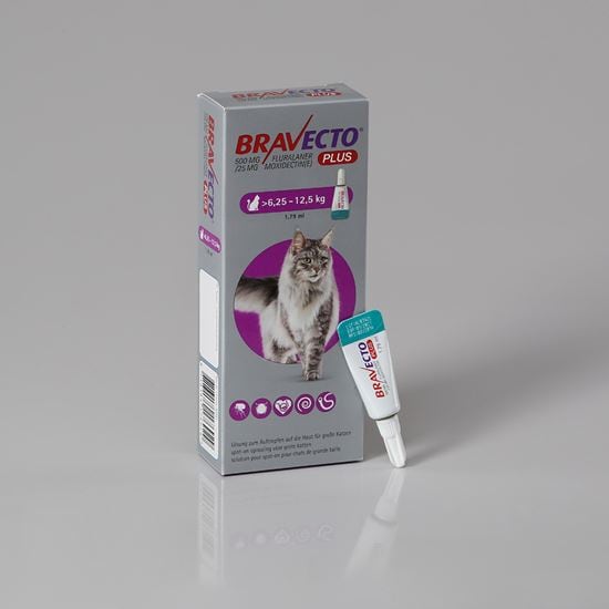 Bravecto Plus Katze 500 mg 6,25-12,5 kg_1