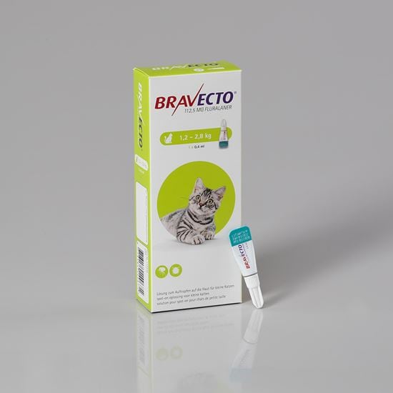 Bravecto Spot On für kleine Katzen 112,5 mg 1,2-2,8 kg_1