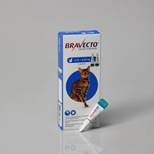 Bravecto Spot On für mittelgroße Katzen 250 mg 2,8-6,25 kg_0