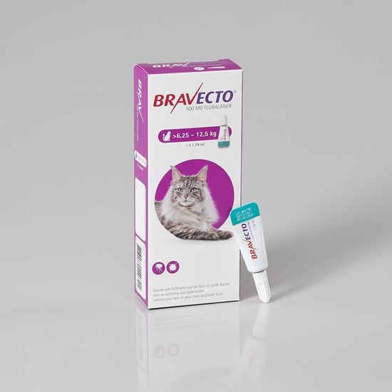 Bravecto Spot On für große Katzen 500 mg 6,25-12,5 kg_1