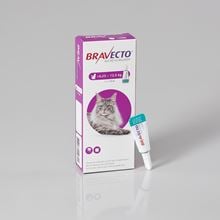 Bravecto Spot On für große Katzen 500 mg 6,25-12,5 kg_0