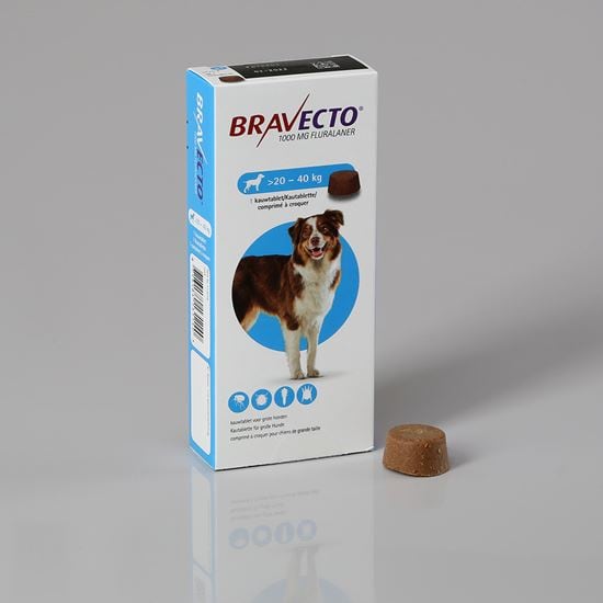 Bravecto Hund 1000 mg 20-40 kg_2