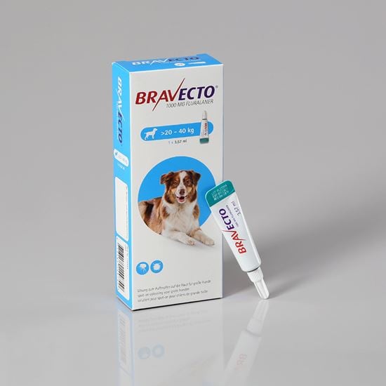 Bravecto Spot On für große Hunde 1000 mg 20-40 kg_1