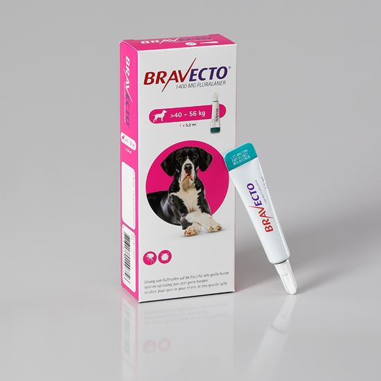 Bravecto Spot On für sehr große Hunde 1400 mg 40-56 kg_1