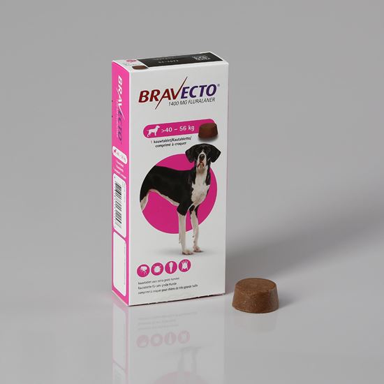 Bravecto Hund 1400 mg 40-56 kg_2