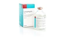 Lincomycin 20% (WDT)_0