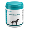 Gelatinat Tabs_2