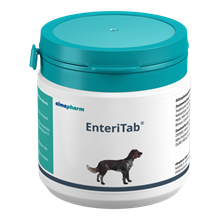 EnteriTab_0