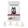 Amanova Adult Sensitive Deluxe Lachs_3