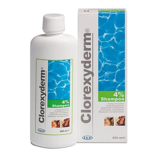 Clorexyderm Shampoo 4 %_0