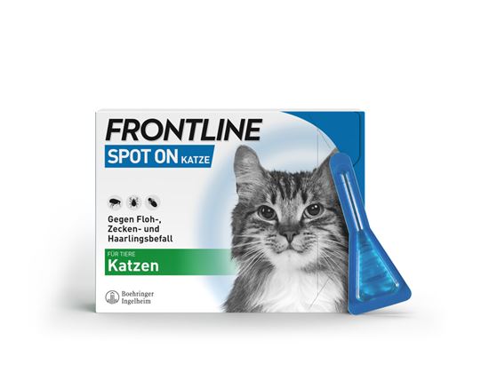 Frontline spot on Katze_0