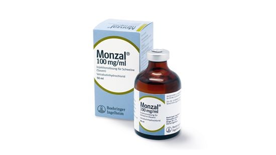 Monzal Injektionslösung_0