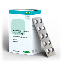 Amoxiclav flavour 250/62,5 mg_0