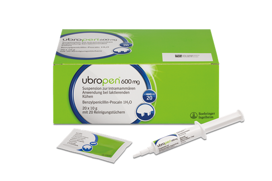 Ubropen 600 mg Suspension für Kühe_0