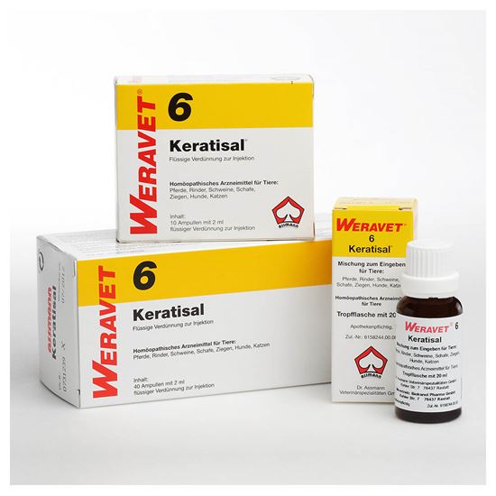 Keratisal 6 Tropfen_0