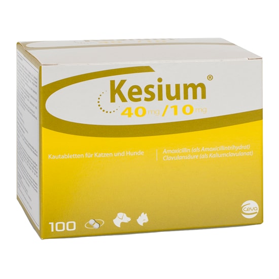 Kesium 40/10 mg_0