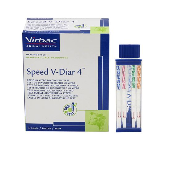 Speed V-Diar Test_0