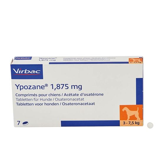 Ypozane 1,875 mg_0