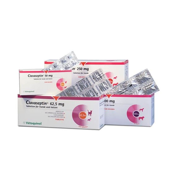 Clavaseptin 250 mg Tabletten_0