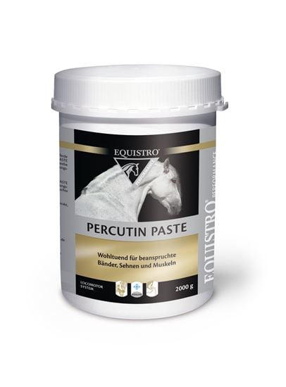 Equistro Percutin Paste_0